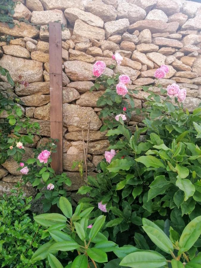 Rosas Da Granja - Casa De Campo Exterior foto