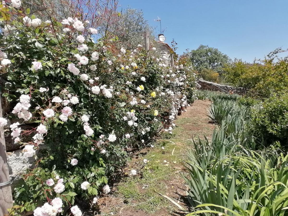 Rosas Da Granja - Casa De Campo Exterior foto
